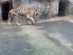 -南昌动物园