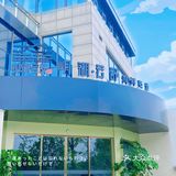 传统艺术盆栽和海鲜的完美融合体,海鲜盆栽,你吃过吗?