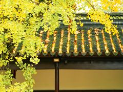 -苏州碑刻博物馆