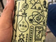 -野萃山·潮汕厚果汁(十亩地店)