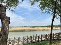 -野鸭湖国家湿地公园