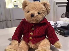 -济州岛泰迪熊博物馆