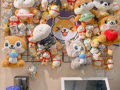 -逗柴咖啡屋·狗咖猫咖宠物桌游