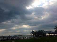 -视界美食自助餐厅·石家庄希尔顿酒店