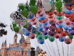 -上海迪士尼度假区