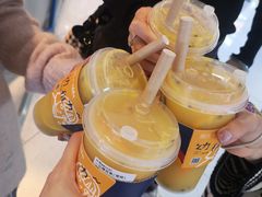 -春丽小马(济南恒隆广场店)