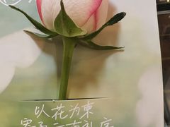 -芸山季·云南野生菌火锅(人民广场来福士店)