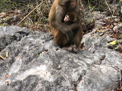 -千岛湖东南湖区