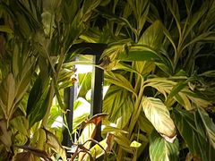 -厦门途易蓝罗约海景温泉酒店(园博苑地铁站店)