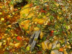 藿香鲫鱼-高坎一品甲鱼庄(两河店)
