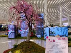 -深圳宝安国际机场