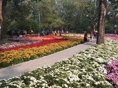 -北京植物园-展览温室