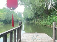 -溱湖国家湿地公园