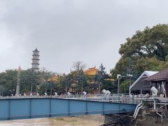 -江心屿景区