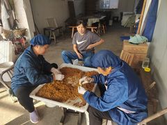 -苏州市吴中区光福窑上花果蜜饯厂