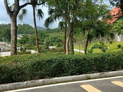 -大屏嶂森林公园