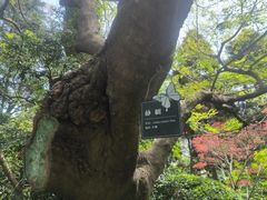 -人民公园-相亲角