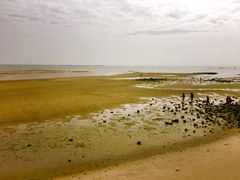 -北海金海湾红树林生态旅游区