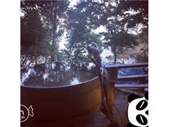 -南紀白浜 浜千鳥の湯 海舟