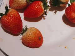 -星伦多 自助料理(圆融店)