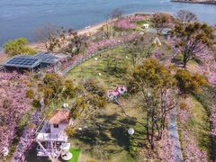 -福建鲤鱼洲酒店