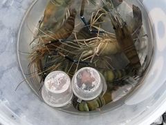 -DGE季风钓虾营地·团建·聚会