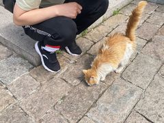 -北京恒爱动物医院(清景园分院)