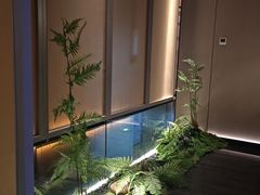 -道合堂·中式按摩·spa(民治店)