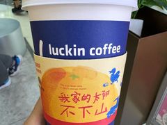 -瑞幸咖啡(维佳佰港大酒店店)