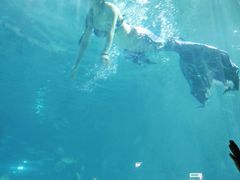 -福州罗源湾海洋世界旅游区