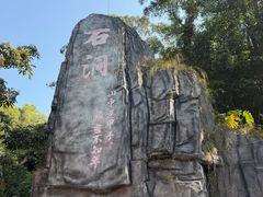 -东莞市大岭山森林公园
