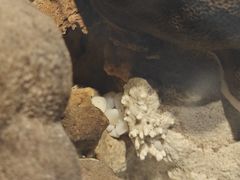 -中国湿地博物馆