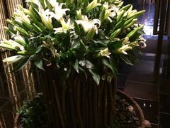 璞丽酒店-上海璞麗酒店