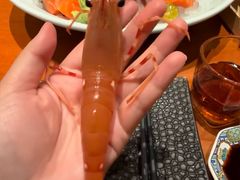 -月龍吟(朝龙汇店)