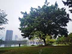 -飞来湖湿地公园