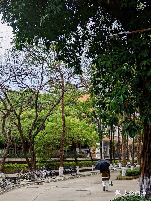 广东外语外贸大学(白云山校区)图片