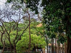 -广东外语外贸大学(白云山校区)