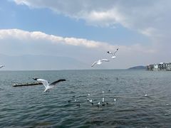 -大理洱海
