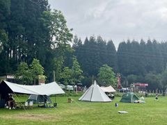 -武陵山森林公园