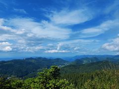 -武陵山森林公园