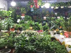 大堂-大学城夜市大排档(凤栖路店)