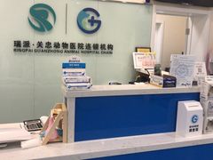 -瑞派·关忠动物医院·异宠专科·犬猫肿瘤·皮肤专科(望京店)