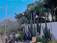 -自由生长植物工作室(深港花卉中心店)