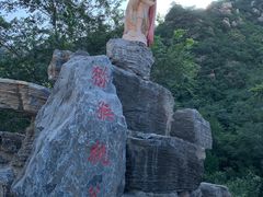 -大岭沟猕猴桃谷风景区