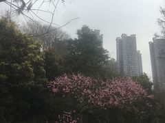 -重庆彩云湖湿地公园