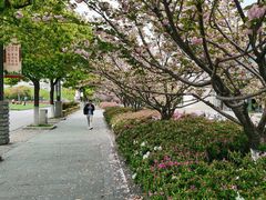 -江南大学(蠡湖校区)