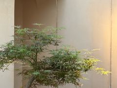 -元古本店(南锣鼓巷店)