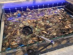 -川骄海鲜自助(河东店)