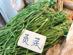 贡菜-海勤盛海味干货市场(一德路店)