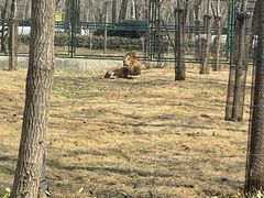 -秦皇岛野生动物园